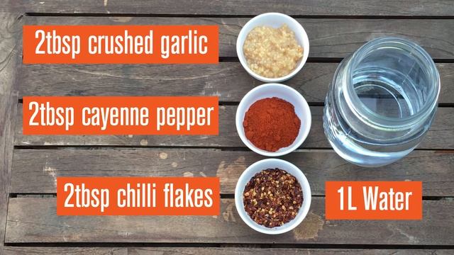 How To Make Organic Aphid Spray смотреть онлайн