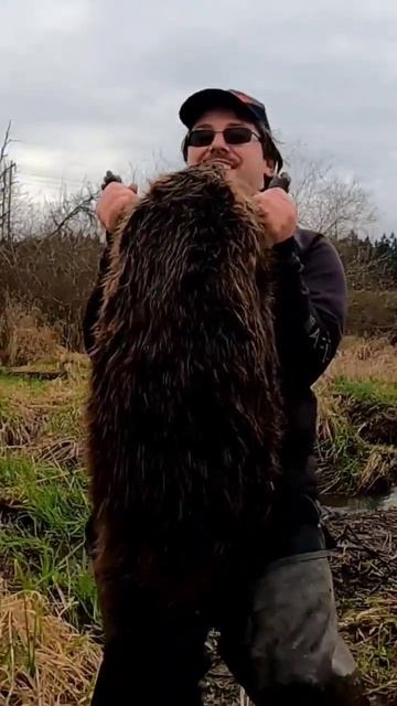 HUGE BEAVER смотреть онлайн