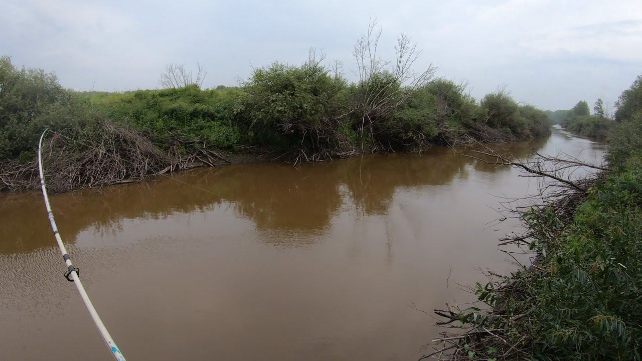 С ТАКИМ КАРАСЁМ И САЗАН НЕ НУЖЕН!!! КАК В СИБИРСКОЙ ДЕРЕВНЕ ЛОВЯТ КРУПНОГО КАРАСЯ. ЛУЧШАЯ ОСНАСТКА!!