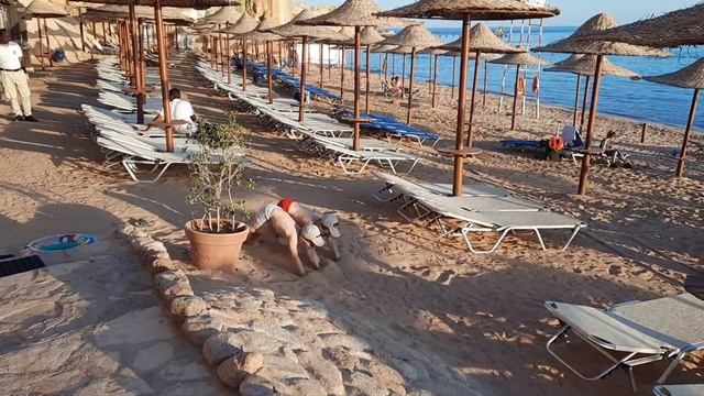 Египет Jaz Fanara Resort 02 2021 прекрасный  отдых  с детьми 🏖