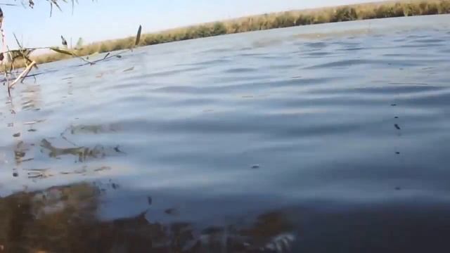 рыбалка ловля карпа на 10 кг fishing carp 10 kg — копия смотреть онлайн