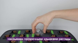 Интеллектуальная гидропонная система «Умный сад»