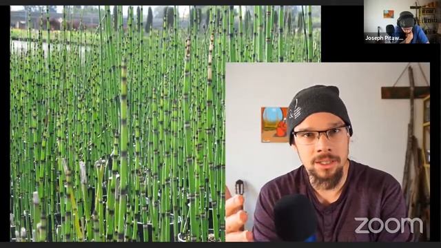 Exploring Indigenous Knowledge Systems through the Amazing World of Plants - PRIMARY CLASSES смотреть онлайн