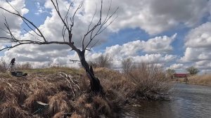 БЕШЕНЫЕ КАРАСИ утаскивают удочки.