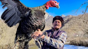 Наша Деревенская Рутина, приготовили большого ИНДЮКА