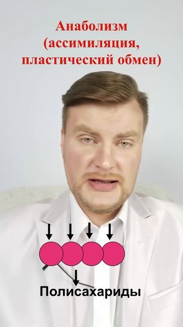 Анаболизм, ассимиляция. ЕГЭ Биология. ЕГЭ 2022. смотреть онлайн