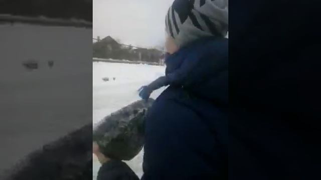 Я и мой друг Максим провалились под лед ,НЕ ПОВТОРЯТЬ НЕ КОМУ ОПАСНО ДЛЯ ЖИЗНИ смотреть онлайн
