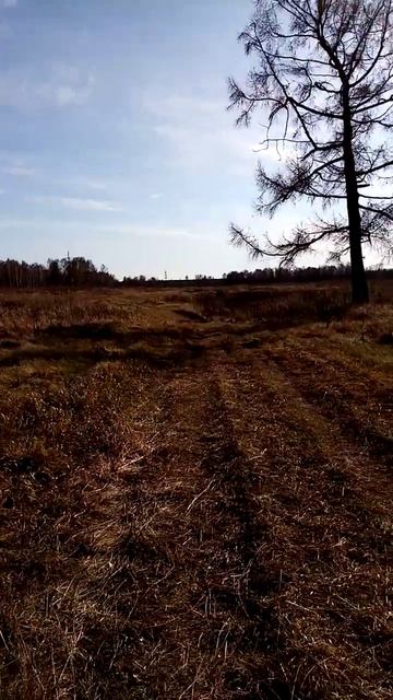 помощь лесным друзьям что творится в лесу 🤯🤯🤯#косуля #солонец #чтотворится смотреть онлайн