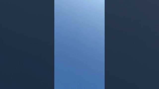 Высоколетные голуби (СВ Купцы) в Курском небе 27.07.24г. смотреть онлайн