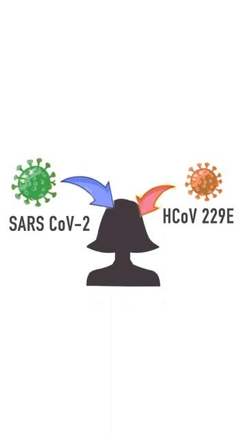 INVESTIGACIÓN REVELARÍA ORIGEN DE LA VARIANTE ÓMICRON ¿VIRUS DEL RESFRIADO? смотреть онлайн