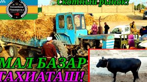 12-04-2025 СКОТНЫЙ РЫНОК -МАЛ БАЗАР 🐄