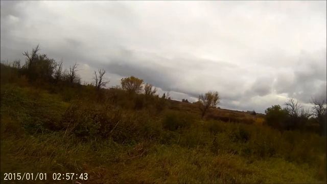 Охота на Фазана. Hunting for pheasant 2016 смотреть онлайн