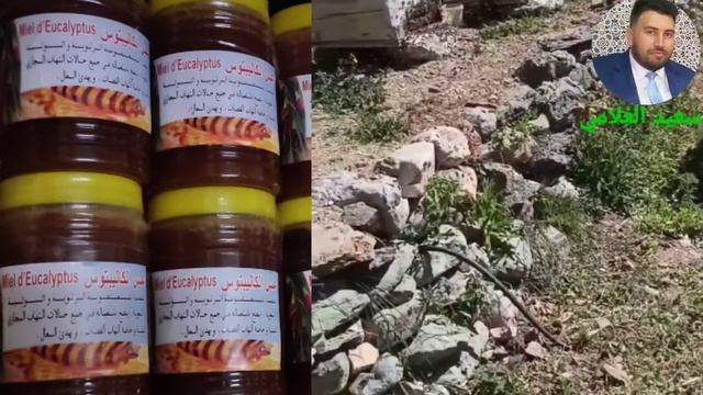 فوائد عسل الكالبتوس смотреть онлайн