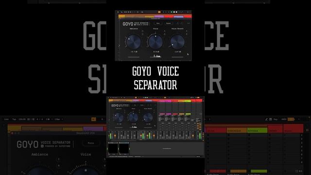 Goyo VOICE SEPARATOR смотреть онлайн