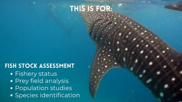 World Ocean Day 2022 смотреть онлайн