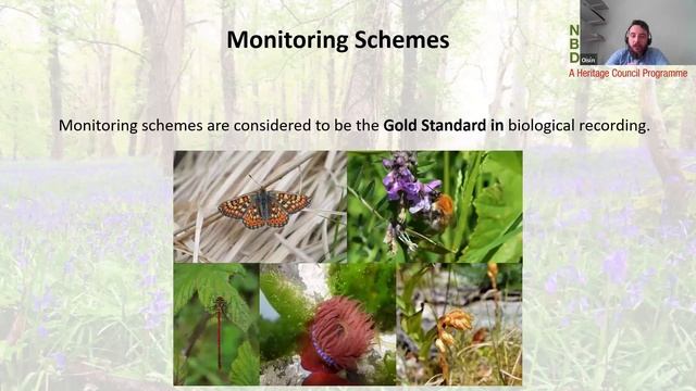 Oisín Duffy Open to all webinar 10th Feb 2023 смотреть онлайн