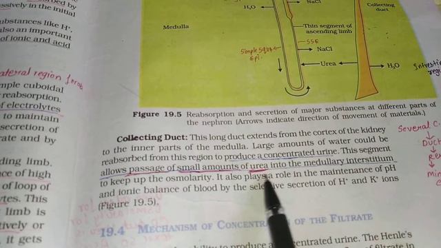 Excretion part 3 смотреть онлайн