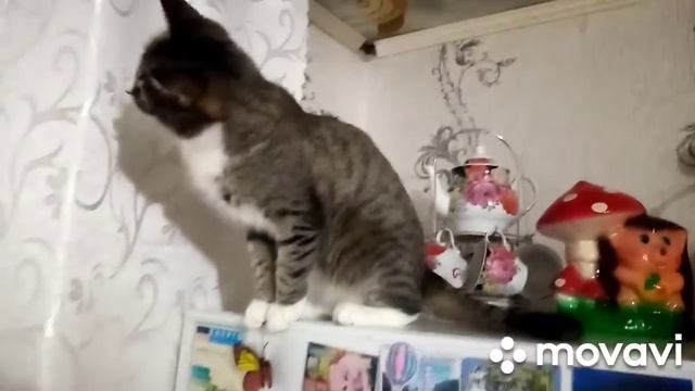 Наша Муся смотреть онлайн
