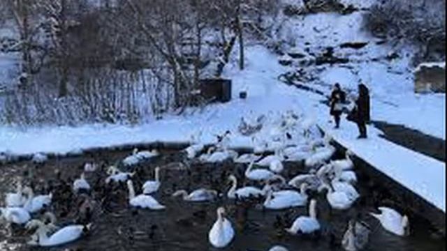 Зимние ангелы Сергей Курочкин СК смотреть онлайн