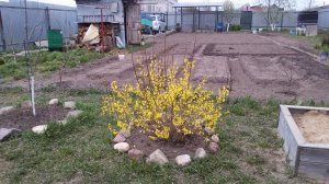 Старый частный дом! Подведение воды. Начало.