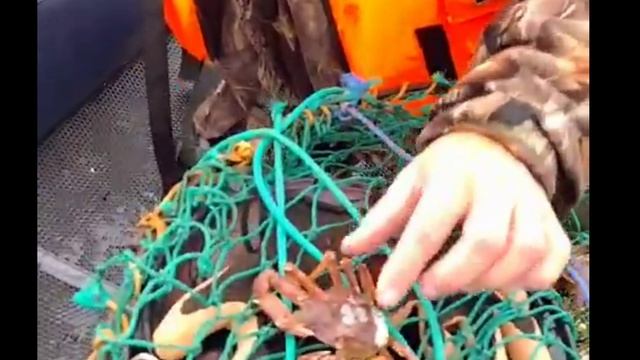 Рыбалка на краба смотреть онлайн