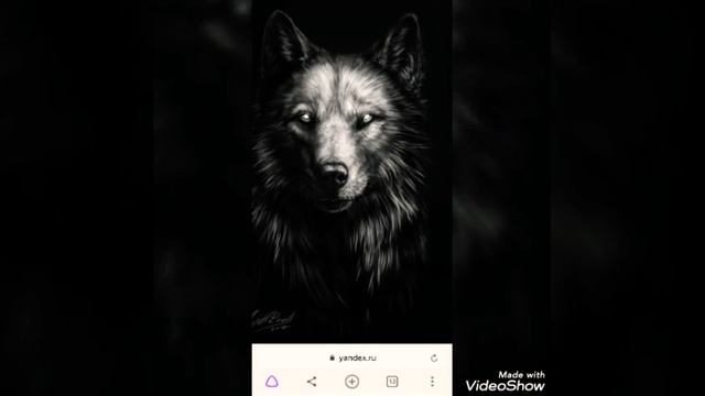 The Wolf арты волков