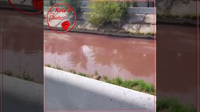 Жителей Алматы удивила красная вода в реке Большая Алматинка смотреть онлайн