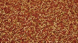 Можно ли не мыть фрукты и овощи