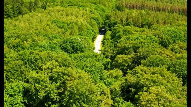 Коран сура Аль-Хьиджр видео 4к Миншави -Minshawiy