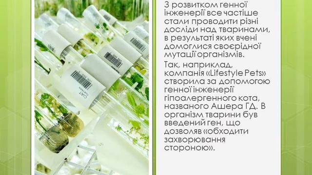 Genna inzheneriya Bratuta смотреть онлайн