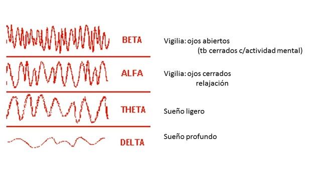 Actividad eléctrica cerebral - Profundizaciones смотреть онлайн