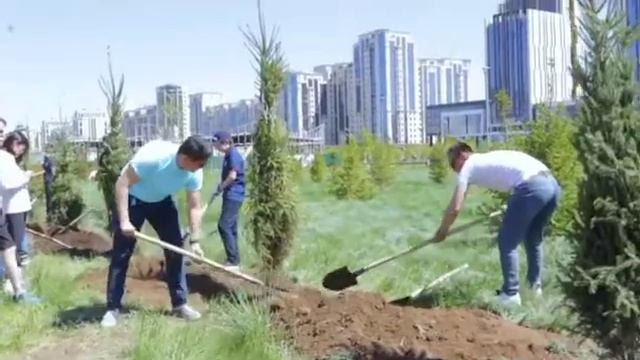 В Ботаническом саду учащиеся Республиканской физико-математической школы высадили 25 саженцев ели. смотреть онлайн