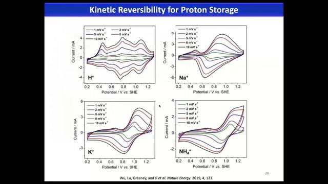 Webinar: Aqueous Battery Chemistry: Considerations from a Reaction’s Perspective смотреть онлайн