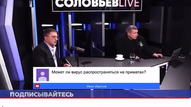 павиан смотреть онлайн