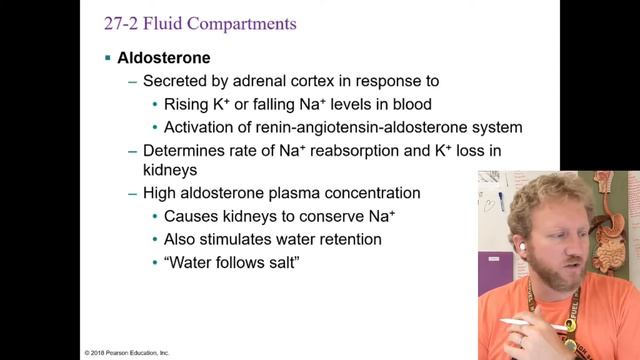 Unit 14 Urinary System Fluid, Ion, & pH Balance Pt. 1 смотреть онлайн