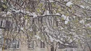 Апрельская зима  стихи и монтаж Елена Павлова, музыка Татьяна Сорокина