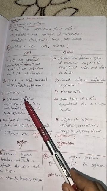 Difference between cell and tissue #bookofscience #9thclassbiology смотреть онлайн