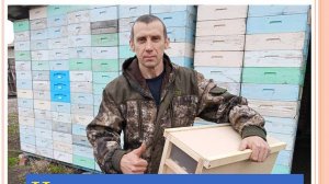 Как  сделать ящик для перевозки пчелопакетов