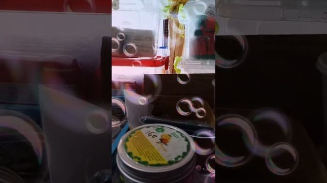 Highlight 4:40 – 9:39 from May TV&Cooking is live смотреть онлайн