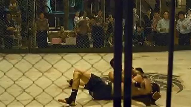 Fighting Fish - Yo Fight смотреть онлайн