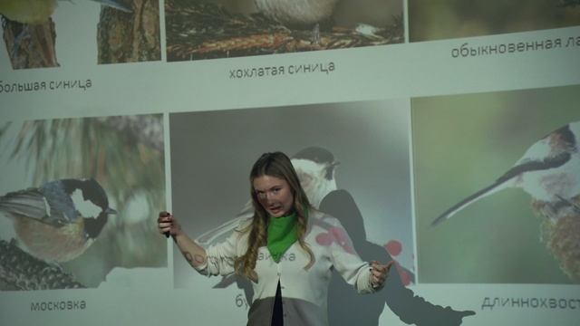 Экоцентр "Лесная сказка" смотреть онлайн
