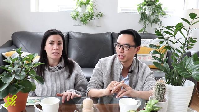 Seed Starting Indoors with Jaz and House Plant Journal | ASK gardenstead 013 смотреть онлайн