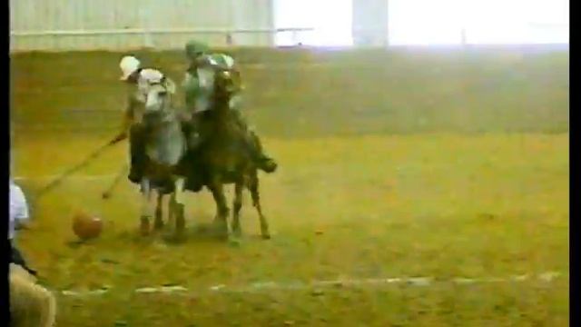 ABC News : Cowboy Polo - June 15, 1991 смотреть онлайн