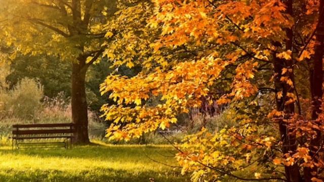 ОТ РАССВЕТА, ДО ЗАКАТА. Красивая душевная мелодия. Сафонов Владимир. смотреть онлайн