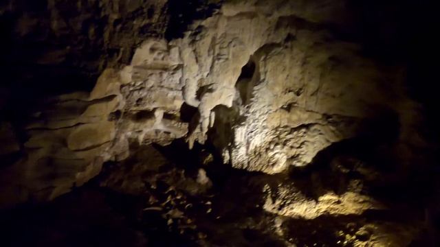 glow worm Caves смотреть онлайн