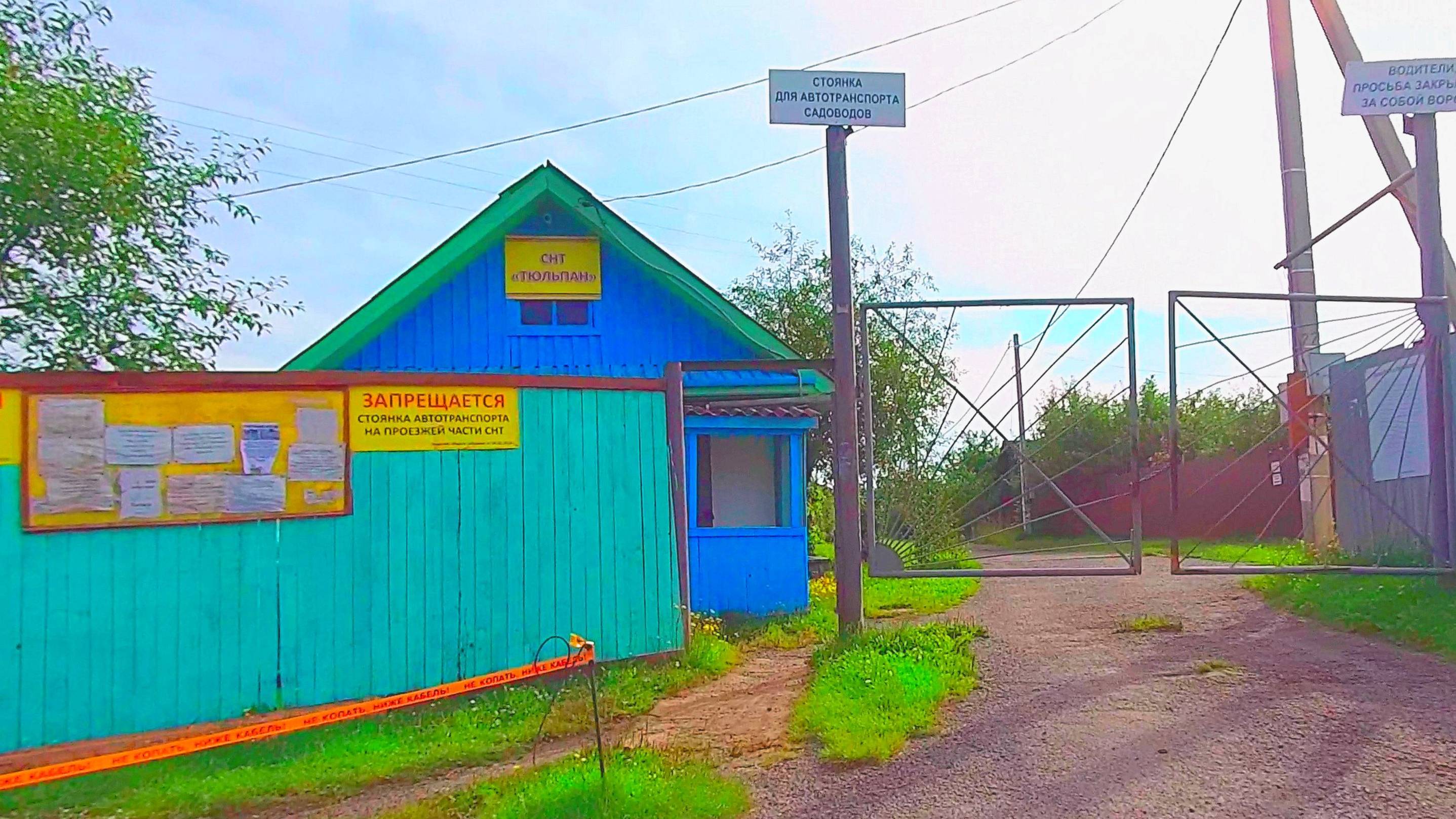 Тюльпан сады в Йошкар-Ола июль 2023 смотреть онлайн