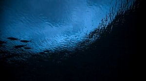 Земля ночью в цвете 2 сезон 4 серия «Коралловый риф» (документальный сериал, 2020)