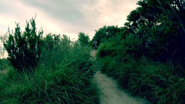 Jamis DragonSlayer; Exploring Harlingen Thicket With My Son; Hannah’s Aftermath. Harlingen TX смотреть онлайн