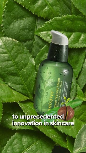 INNISFREE’s Green Tea Authority смотреть онлайн