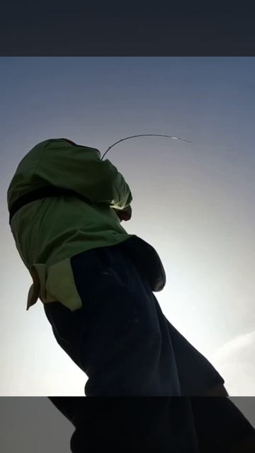 Halibut Fishing in Long Beach смотреть онлайн